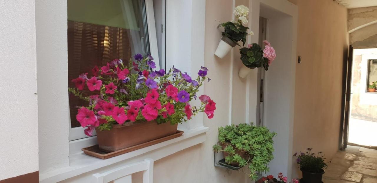 Apartment Asja Old City Center PUY Exterior foto