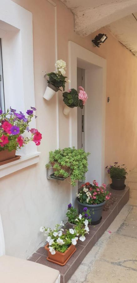 Apartment Asja Old City Center PUY Exterior foto